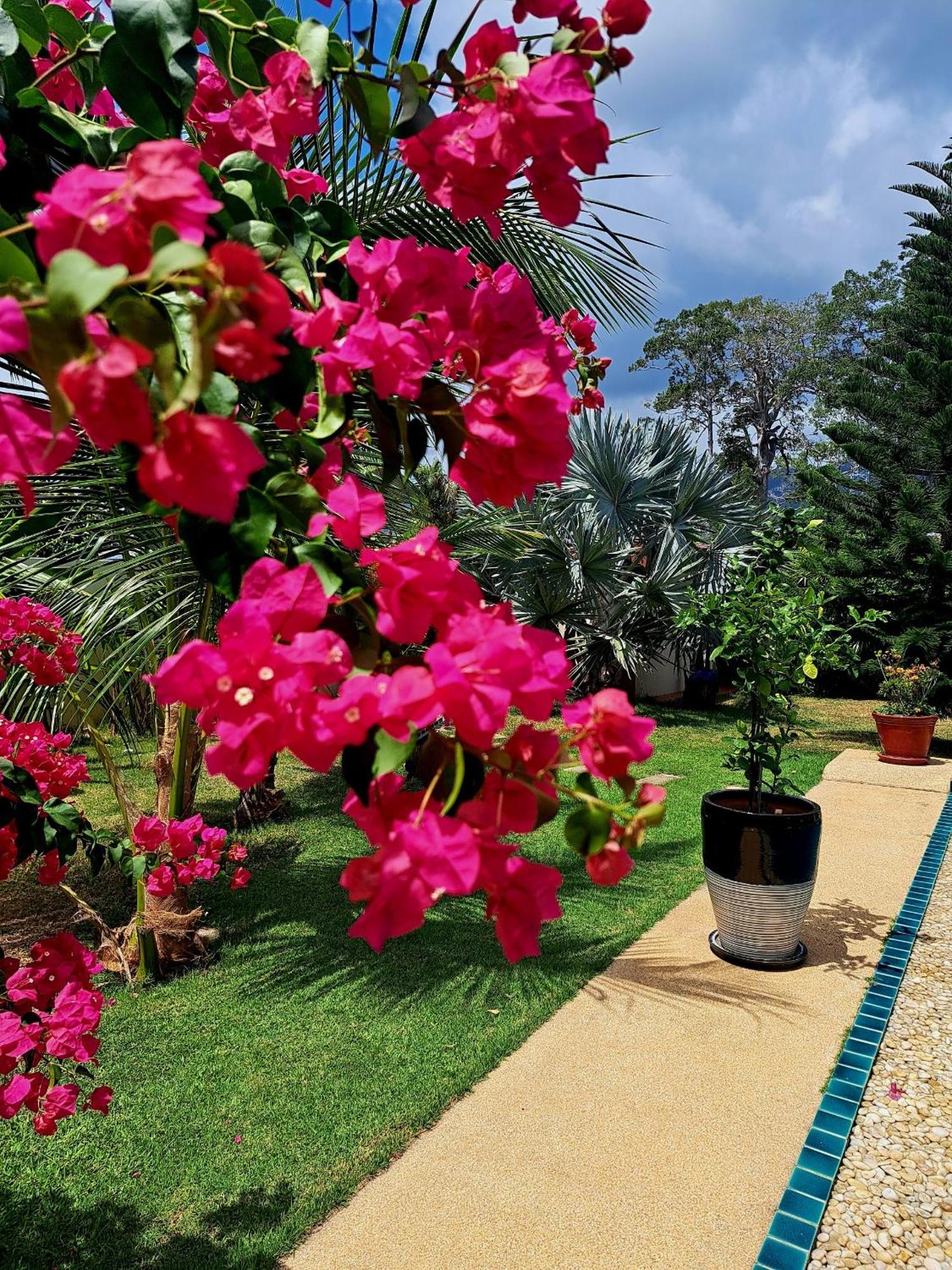 Laura Guest House-Adult Only- Hua Thanon strand Eksteriør bilde
